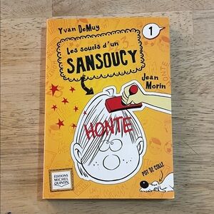 Children's French Chapter Book Les Soucis d'un Sansoucy by Yvan Demuy